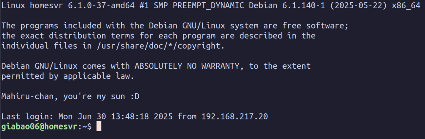 Debian login prompt